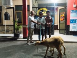 Polisi di Majalengka Serahkan Dua Ekor Domba Hasil Curian ke Pemilik, Bukti Nyata Komitmen Polri Lindungi Warga