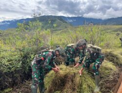 Honai untuk Negeri: Satgas TNI Bangun Asa di Tanah Gome