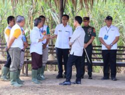 Panglima TNI Kawal Langsung Panen Tebu Untuk Swasembada Gula Nasional