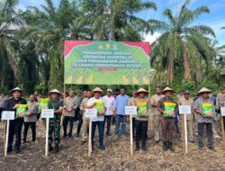 Polres Bireuen Bersama Pemda Tanam Jagung Serentak Kuartal III, Sinergi Wujudkan Swasembada Pangan