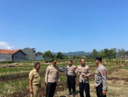 Wakapolres Majalengka Tinjau Lahan Pertanian Jagung di Kecamatan Majalengka Kota