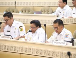 Wamendagri Ribka: Pemerintah Setuju Lanjutkan Pembahasan 10 RUU Kabupaten/Kota ke Tingkat II