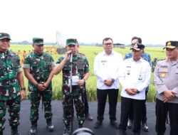 Gugus Tugas Kedaulatan Pangan TNI, Perkuat Ketahanan dan Kemandirian Bangsa
