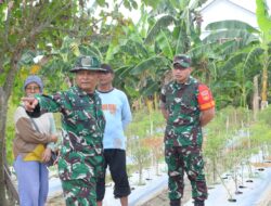 Dansatgas TMMD Reguler Ke-125 Kodim 0735/Surakarta Tinjau Kesiapan Lahan Ketahanan Pangan di Lokasi TMMD
