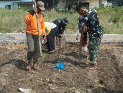 Satgas TMMD Reguler Ke-125 Bersama Warga Masyarakat Tanam Jagung, Dukung Ketahanan Pangan Nasional