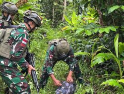 Satgas Pamtas Statis RI-PNG Yonif 131/Brajasakti Kembali Gagalkan Peredaran Ganja di Kampung Skofro