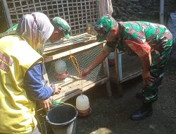 Babinsa Dampingi Pemberantasan Jentik Nyamuk, Cegah DBD di Lingkungan Warga