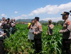 Tim Gugus Ketahanan Pangan Polres Majalengka Terima Kunjungan Supervisi dari Polda Jabar