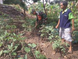 Babinsa Serengan Sambangi Lahan Ketahanan Pangan, Dorong Pemanfaatan Optimal Kesejahteraan Warga