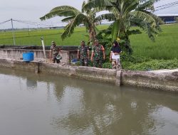 Babinsa Pantau Kolam Lele, Pastikan Ketersediaan Pakan Terjaga untuk Kesejahteraan Peternak