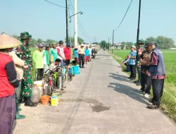 Babinsa Nogosari Dampingi Petani Kendalikan Serangan Hama Wereng
