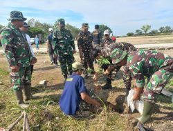 Hijaukan Lingkungan, Koramil Nogosari Tanam Pohon Buah di Potronayan