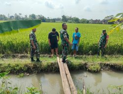 Babinsa Susuri Sawah, Pastikan Pengairan Lancar untuk Dukung Ketahanan Pangan