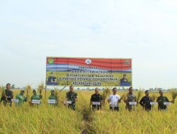 Panen Raya di Desa Bantarwaru, Dandim 0617/Majalengka Turun Langsung Bersama Petani