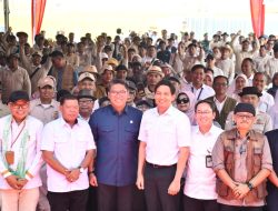 Moment Hari Tani Nasional Bupati Eman Panen Padi, Majalengka Surflus.