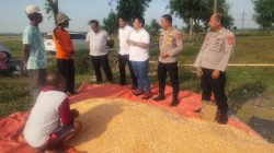 Polsek Kasokandel Dukung Swasembada Pangan, Kawal Penjualan Jagung Pipil ke Bulog Majalengka