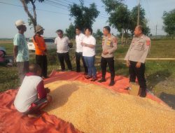 Polsek Kasokandel Dukung Swasembada Pangan, Kawal Penjualan Jagung Pipil ke Bulog Majalengka