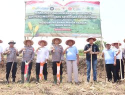 Kapolres Majalengka Laksanakan Penanaman Jagung Serentak Kuartal IV