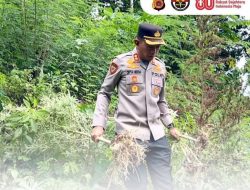 Polres Bireuen Berhasil Ungkap Kasus Narkotika, Satu Pelaku dan 154 Kg Ganja Diamankan