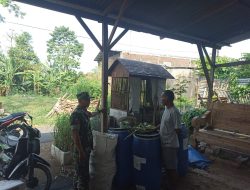 Babinsa Juwangi Dampingi Peternak Kambing, Dorong Peningkatan Kesejahteraan Warga