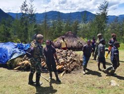 Satgas Yonif 700/WYC Bantu Warga Siapkan Acara Bakar Batu di Kampung Wuloni Wujud Kedekatan TNI dengan Masyarakat Papua