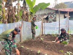 Dukung Ketahanan Pangan Nasional, Satgas Yonif 521/DY Manfaatkan Lahan Kosong di Sekitar Pos