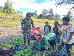 Satgas Yonif 700/WYC Borong Hasil Tani Warga Nipuralome: Bukti Cinta TNI untuk Tanah Papua