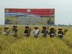 Petani di Majalengka Menyambut baik Turunnya Harga Pupuk Subsidi sebesar 20 Persen.