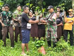 Satgas TMMD Ke-126 Kodim 1504/Ambon Tanam 1000 Bibit Pohon Pala