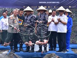 Pasmar 1 Ikuti Kegiatan Panen Raya Tegaskan Komitmen Ketahanan Pangan