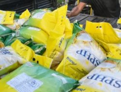 BPS Sebut Komoditas Beras Jadi Salah Satu Komponen Peredam Inflasi September 2025