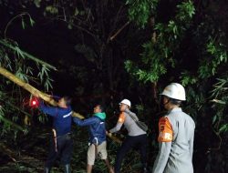 Reaksi Cepat Tim SAR Sat Brimob Polda Jabar Evakuasi Pohon Tumbang di Sumedang