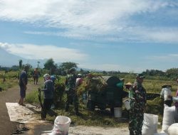 Musim Panen Tiba, Pasukan Loreng Hadir Mendampingi Petani, Jaga Ketahanan Pangan Nasional