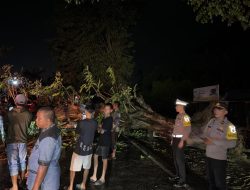 Pamapta Polres Lhokseumawe Gerak Cepat Tangani Pohon Tumbang di Jalan Medan–Banda Aceh