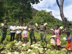 Panen Hasil Kebun Satgas Yonif 521/DY Bersama Masyarakat di Distrik Kurima