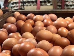 PIHPS Merilis Harga Pangan Hari Ini Cabai Rawit Rp42.700 per kg, Telur Ayam Rp31.450 per Kg