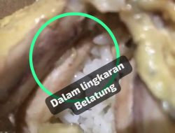 Miris!!! Diduga Ada Belatung di Makanan Catering Pabrik Majalengka
