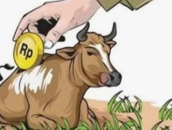 Pengadaan Ternak Sapi BUMDES Cikondang Menuai Sorotan, Diduga Terjadi Mark Up Anggaran.