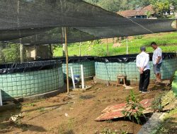 Kades Werasari Berikan Klarifikasi Perihal Dugaan Raibnya Program Ketahan Pangan tahun 2025