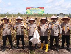 Dukungan Ketahanan Pangan, Polda Kalteng dan Bhayangkari Panen Raya Jagung di Rakumpit