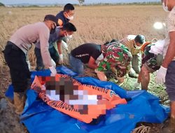 Korban Banjir yang Hilang Ditemukan Meninggal Dunia di Persawahan Paloh Raya