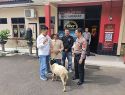 Polsek Majalengka Kota Serahkan Seekor Kambing kepada Pemiliknya, Wujud Kepedulian dan Pelayanan Humanis