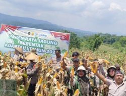 Majalengka Peringkat Tiga se-Jawa Barat dalam Serapan Jagung tahun 2025.