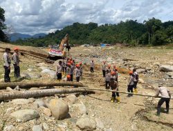 Pemulihan Akses Warga, Brimob Jambi Bangun Jembatan Darurat Antar Desa Kampung Tengah Timur dan Padang Landua
