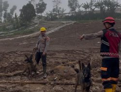 K9 Ditsamapta Polda Jabar Diterjunkan Cari Korban Longsor di Desa Pasirlangu