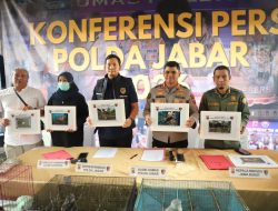 Polda Jabar Ungkap Kasus Pemeliharaan 14 Burung Elang Dilindungi di Indramayu