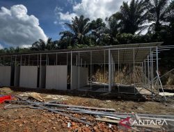 BNPB Targetkan Pembangunan Hunian Sementara untuk Masyarakat Terdampak Bencana di Sumatra Rampung Sebelum Ramadan