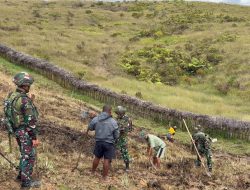 Semangat Gotong Royong Satgas Yonif 521/DY Bersama Warga Membuka Lahan Pertanian di Distrik Napua