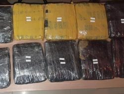 Polda Metro Jaya Gagalkan Peredaran Ganja, Sita Barbuk 5,5 Kg