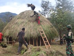 Rumah Adat Honai, Satgas Yonif 521/DY Gotong Royong Pembangunan Miliki Nilai Spiritual dan Budaya Nusantara yang Tinggi di Distrik Walesi